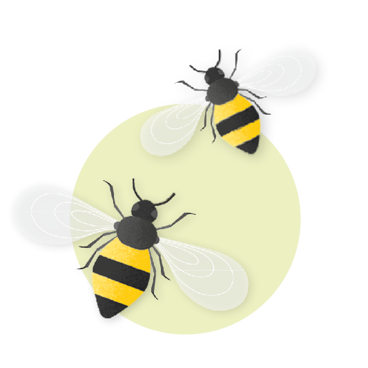 Illustration von zwei Bienen mit gelb-schwarzen Streifen und transparenten Flügeln auf hellem Kreis