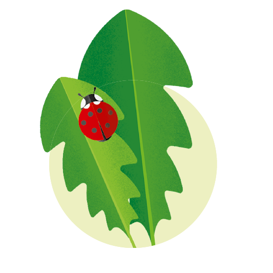 Illustration eines roten Marienkäfers mit schwarzen Punkten auf einem grünen Löwenzahnblatt