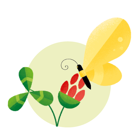 Illustration eines gelben Schmetterlings, der auf einer Rotklee-Blüte sitzt, mit grünem dreiblättrigem Blatt