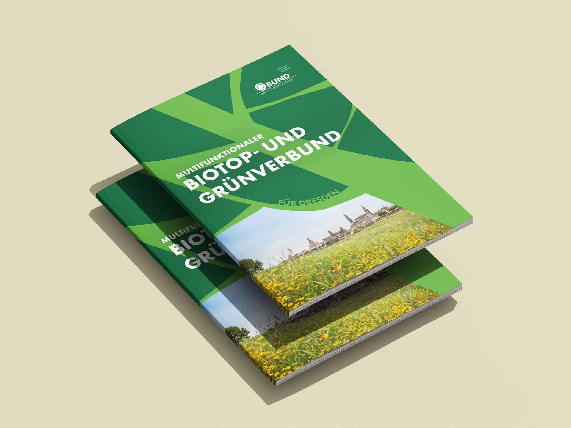 Broschüre zum Projekt 'Multifunktionaler Biotop- und Grünverbund für Dresden' mit grünem Cover inklusive Logo des BUND und Foto einer Blumenwiese vor Dresdner Stadtsilhouette
