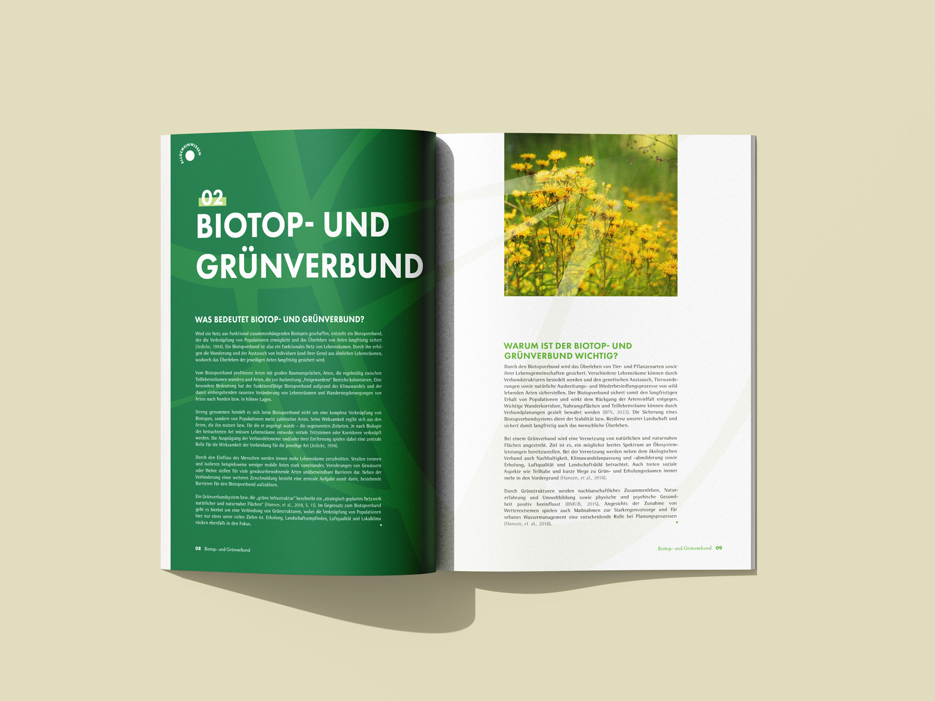Aufgeschlagene Broschüre zum Projekt 'Multifunktionaler Biotop- und Grünverbund für Dresden' mit Einleitungsseite zu Kapitel 2 und Text zur Bedeutung und Wichtigkeit von Biotop- und Grünverbünden