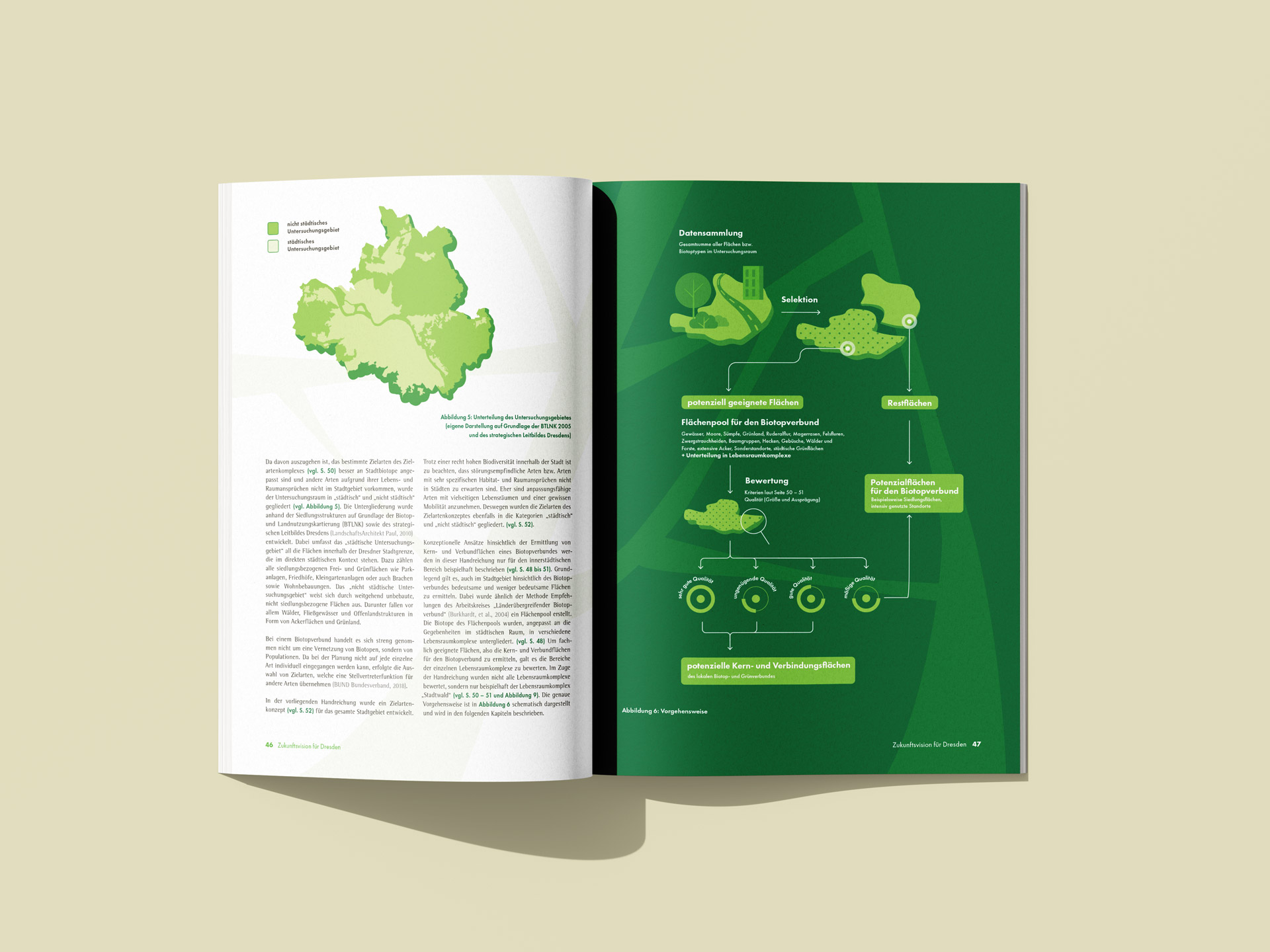 Aufgeschlagene Broschüre zum Projekt 'Multifunktionaler Biotop- und Grünverbund für Dresden' mit links Karte von Dresden und Text und rechts Infografik zum Vorgehen der Datensammlung