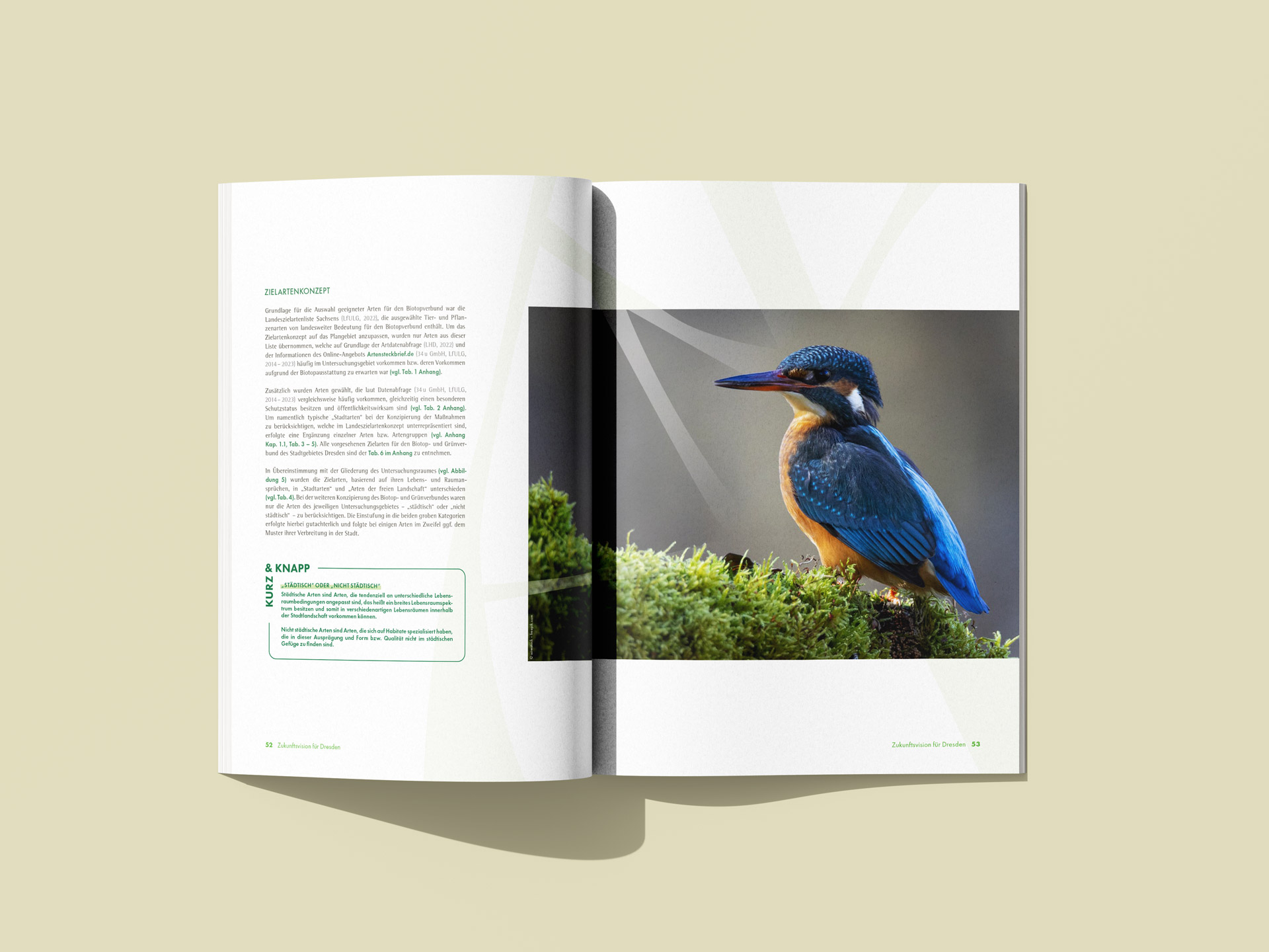Aufgeschlagene Broschüre zum Projekt 'Multifunktionaler Biotop- und Grünverbund für Dresden' mit Textseite links und Foto eines Eisvogels auf Moos rechts