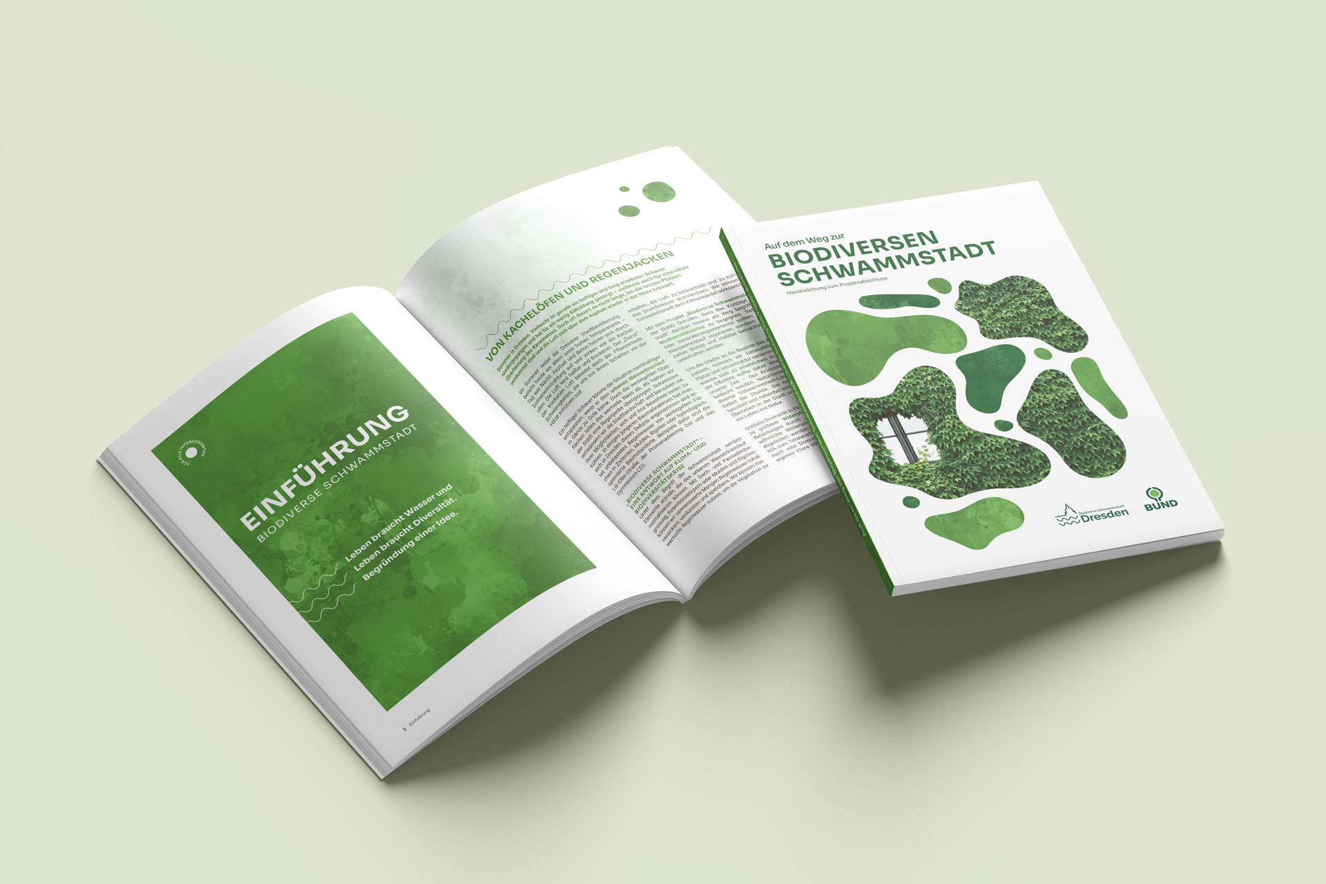 Broschüre zum Projekt 'Auf dem Weg zur Biodiversen Schwammstadt' mit Titel und geöffneten Seiten, die eine Einführung und Text zum Thema zeigen