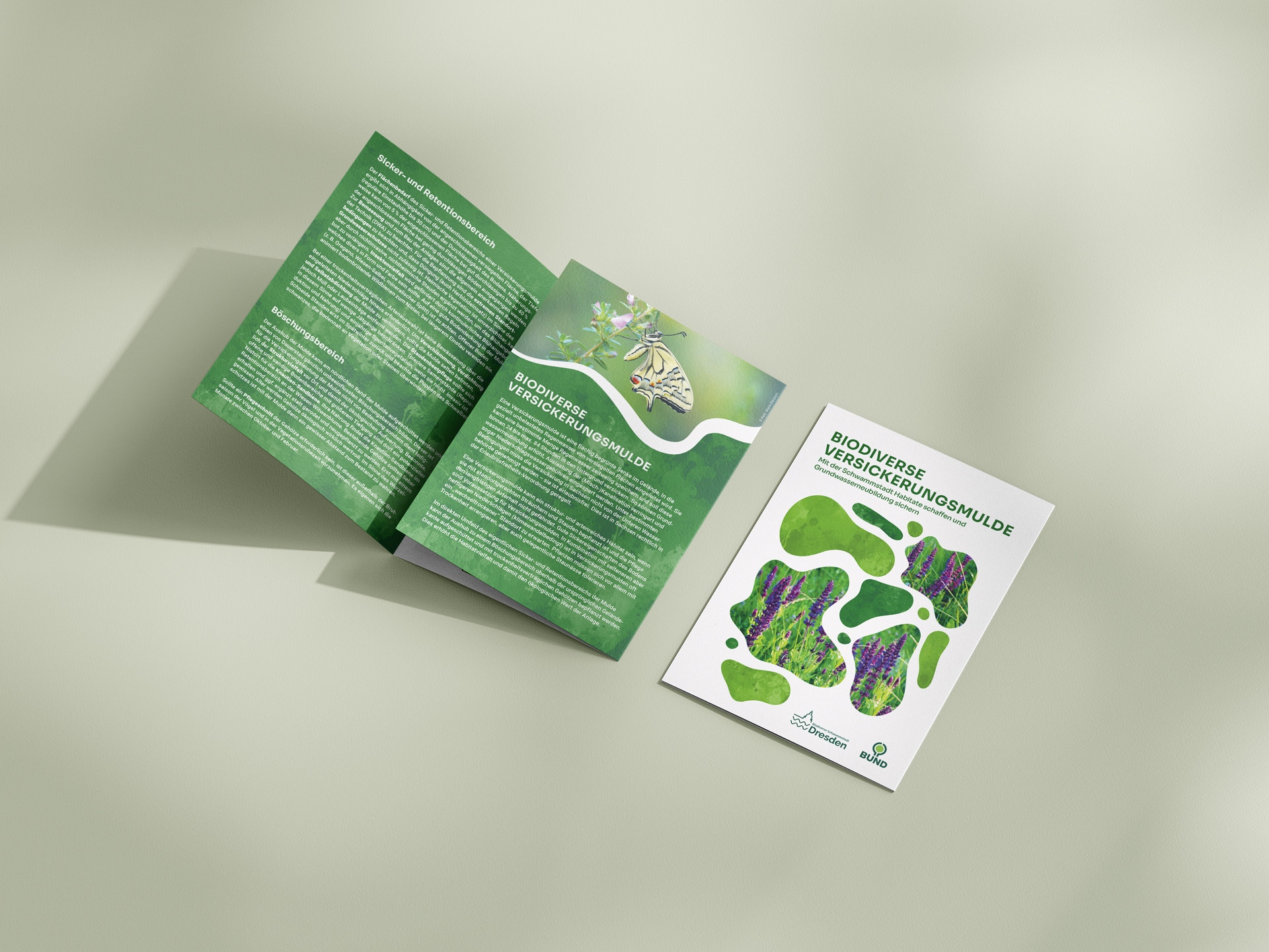 Faltblatt mit dem Titel 'Biodiverse Versickerungsmulde' mit Text und Bildern von Pflanzen und einem Schmetterling, informiert über biodiverse Versickerungsmulden