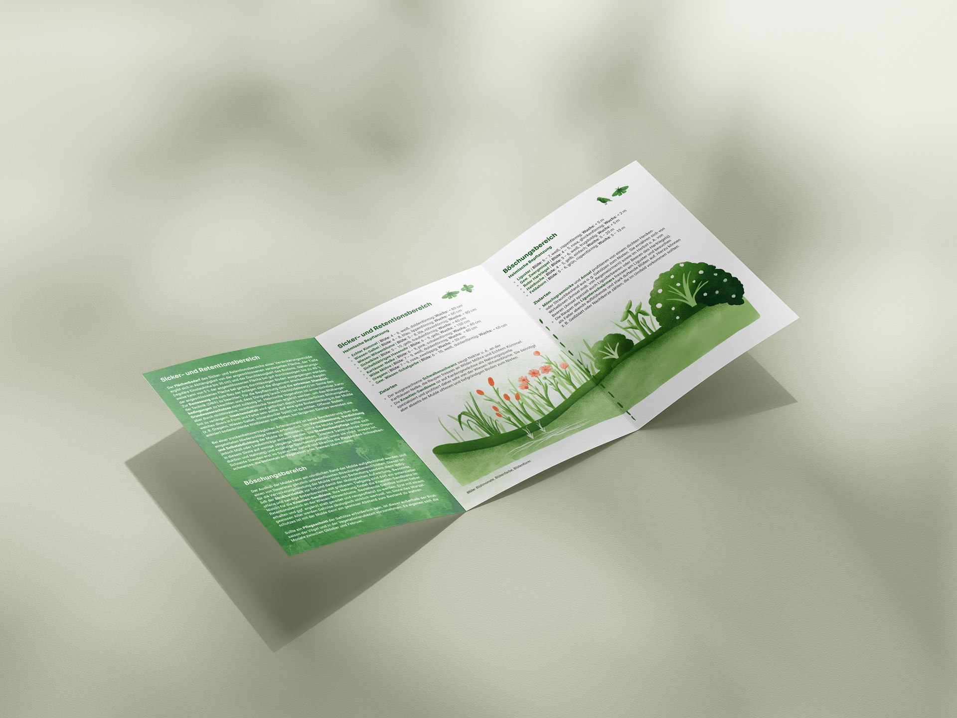 Aufgeklapptes Faltblatt zum Thema Biodiverse Versickerungsmulde mit Text und Illustration einer Mulde mit verschiedenen Zonen und Pflanzen